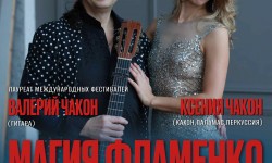 Магия фламенко афиша веб